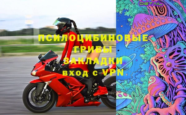 стафф Арсеньев