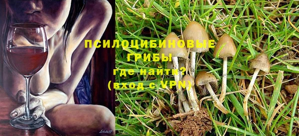 стафф Арсеньев