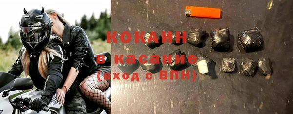 стафф Арсеньев