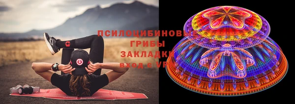 стафф Арсеньев